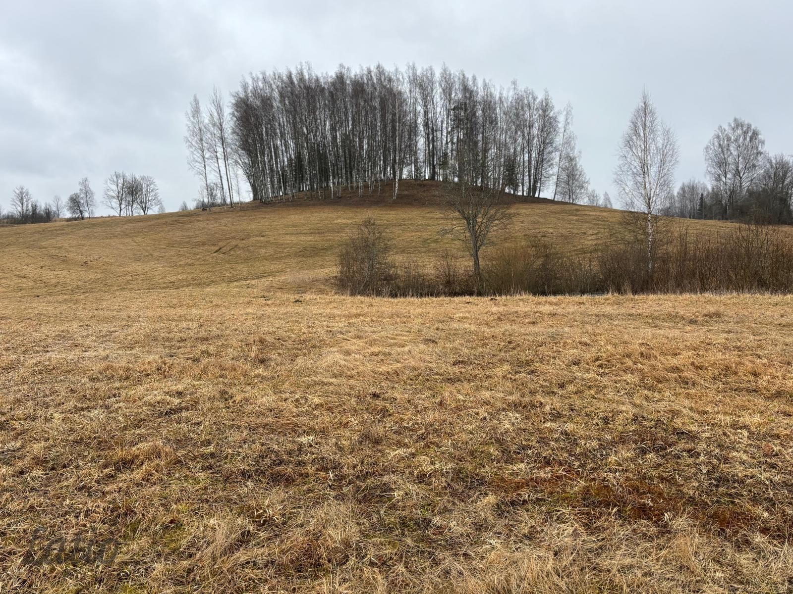 Объявление. Pārdod apbūves zemi 15km no Alūksnes admin. centra, Kalncempju pagasta "Zaķi".
Zeme Цена: 15000 EUR Foto #3