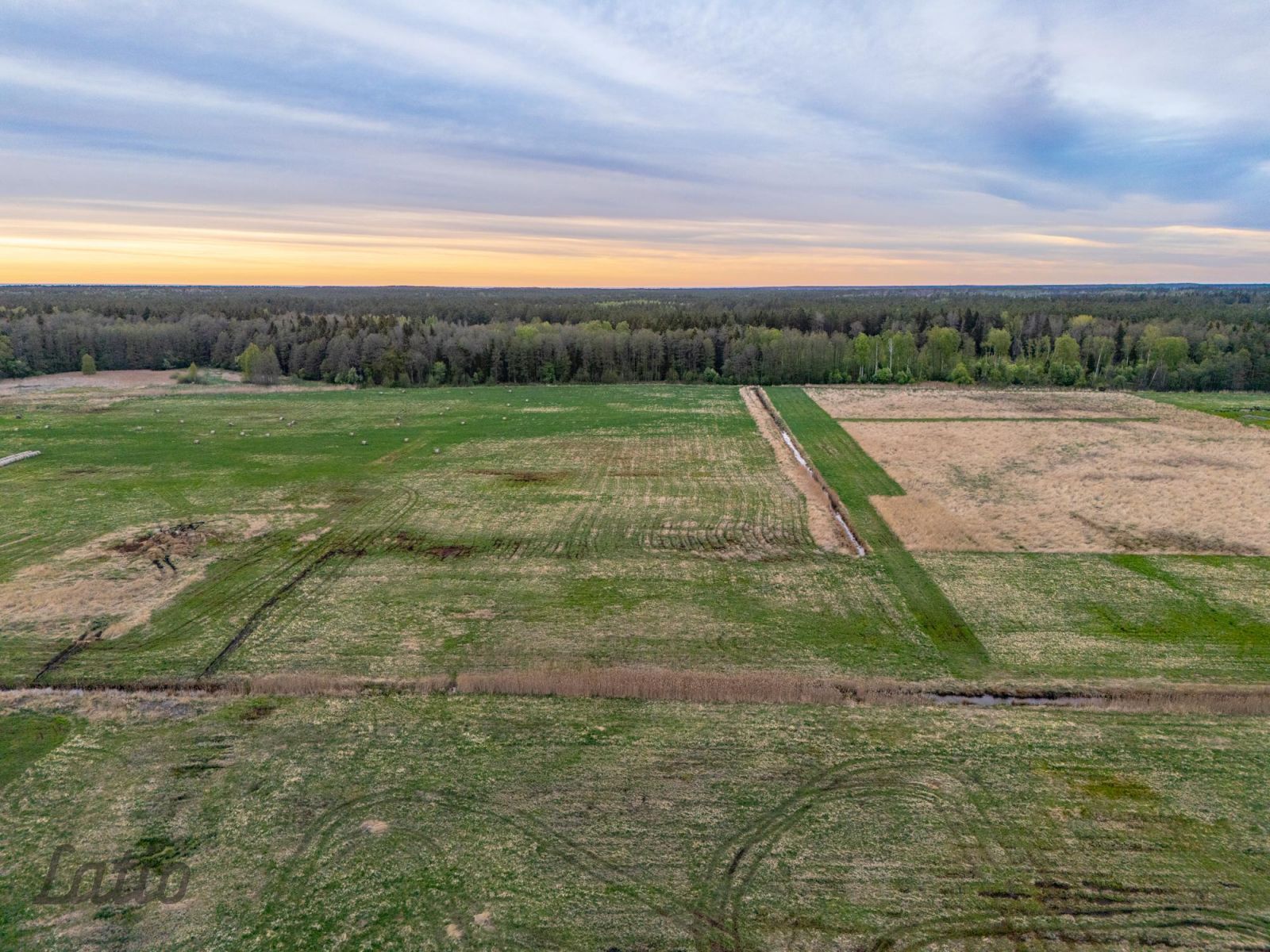 Sludinājumi. Pārdodu zemi Litkes pļava  4,1 ha.
Piedāvājumā zemes īpašums Litkes pļava (kadastra Nr. Cena: 45000 EUR Foto #3