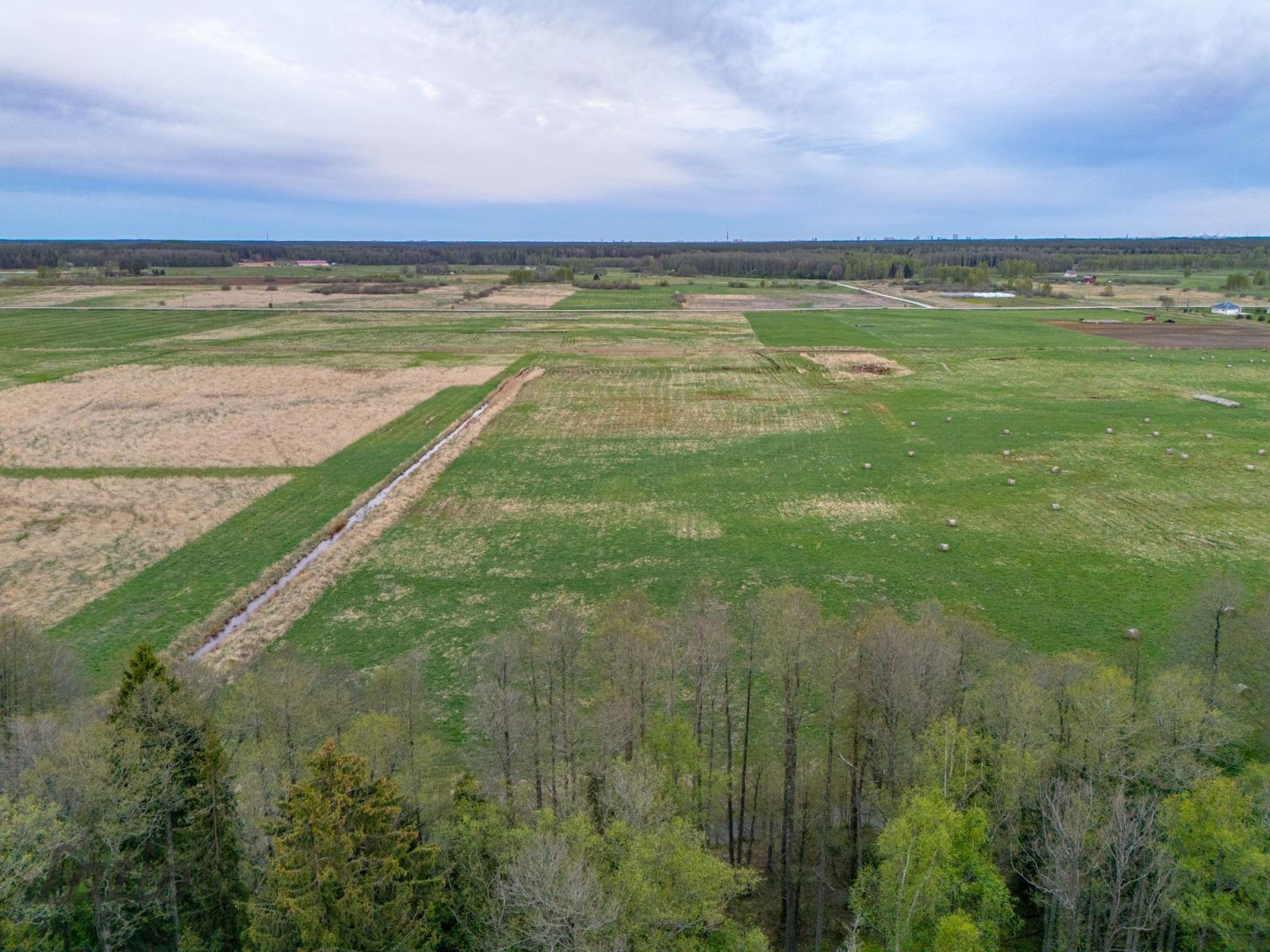 Sludinājumi. Pārdodu zemi Litkes pļava  4,1 ha.
Piedāvājumā zemes īpašums Litkes pļava (kadastra Nr. Cena: 45000 EUR Foto #2