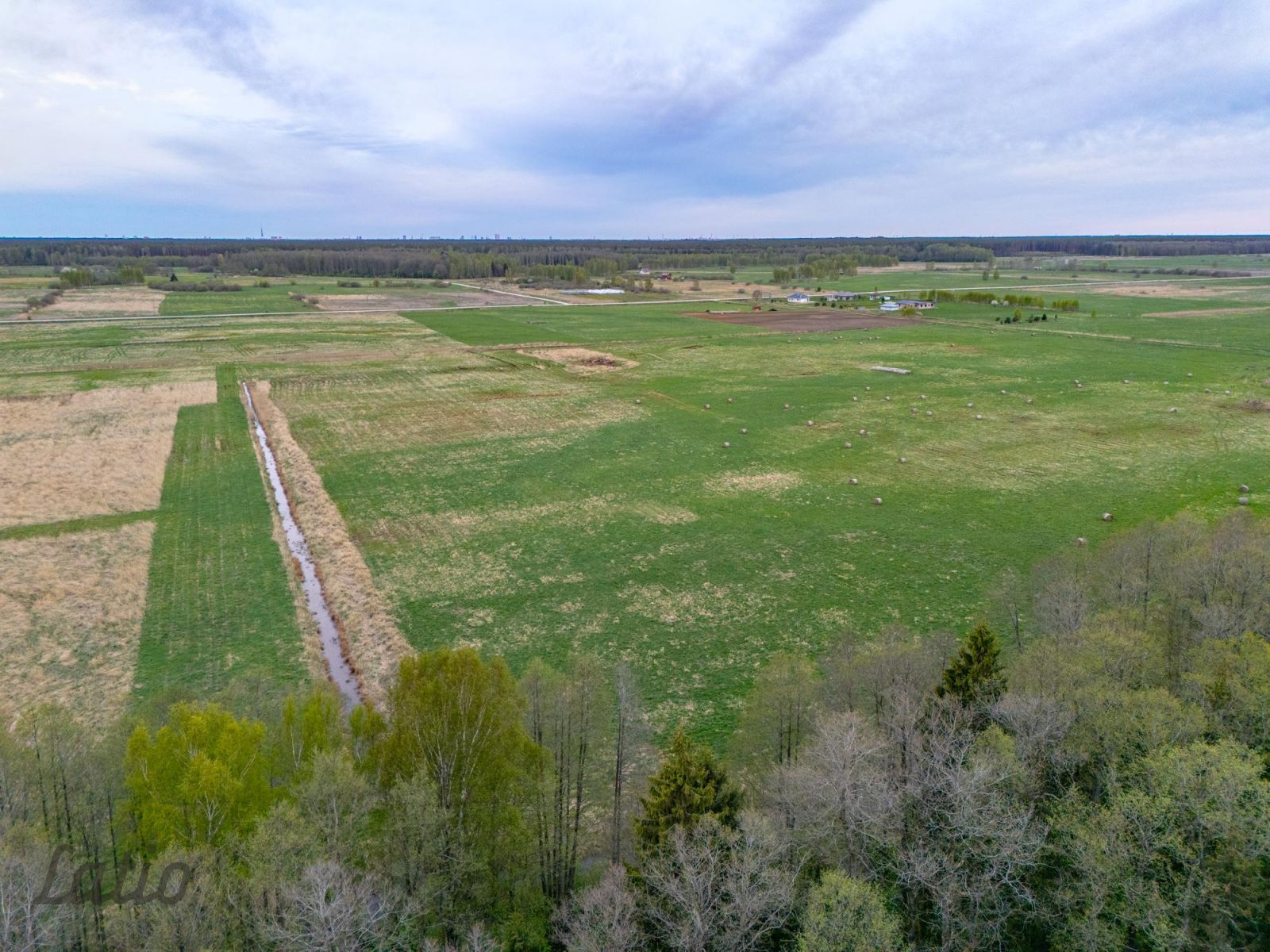 Sludinājumi. Pārdodu zemi Litkes pļava  4,1 ha.
Piedāvājumā zemes īpašums Litkes pļava (kadastra Nr. Cena: 45000 EUR Foto #1