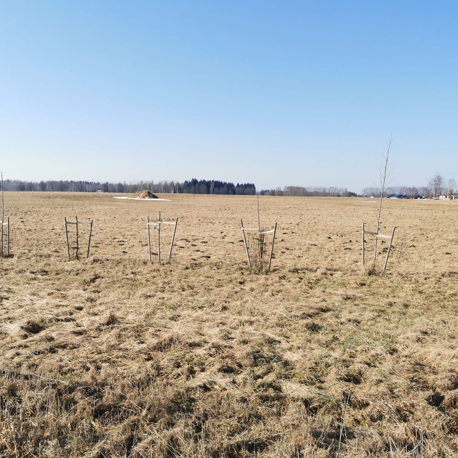 Объявление. Tiek pārdots perspektīvs zemes īpašums Siguldas pilsētas teritorijā ar platību 5,67 ha, kas Цена: 290000 EUR Foto #5