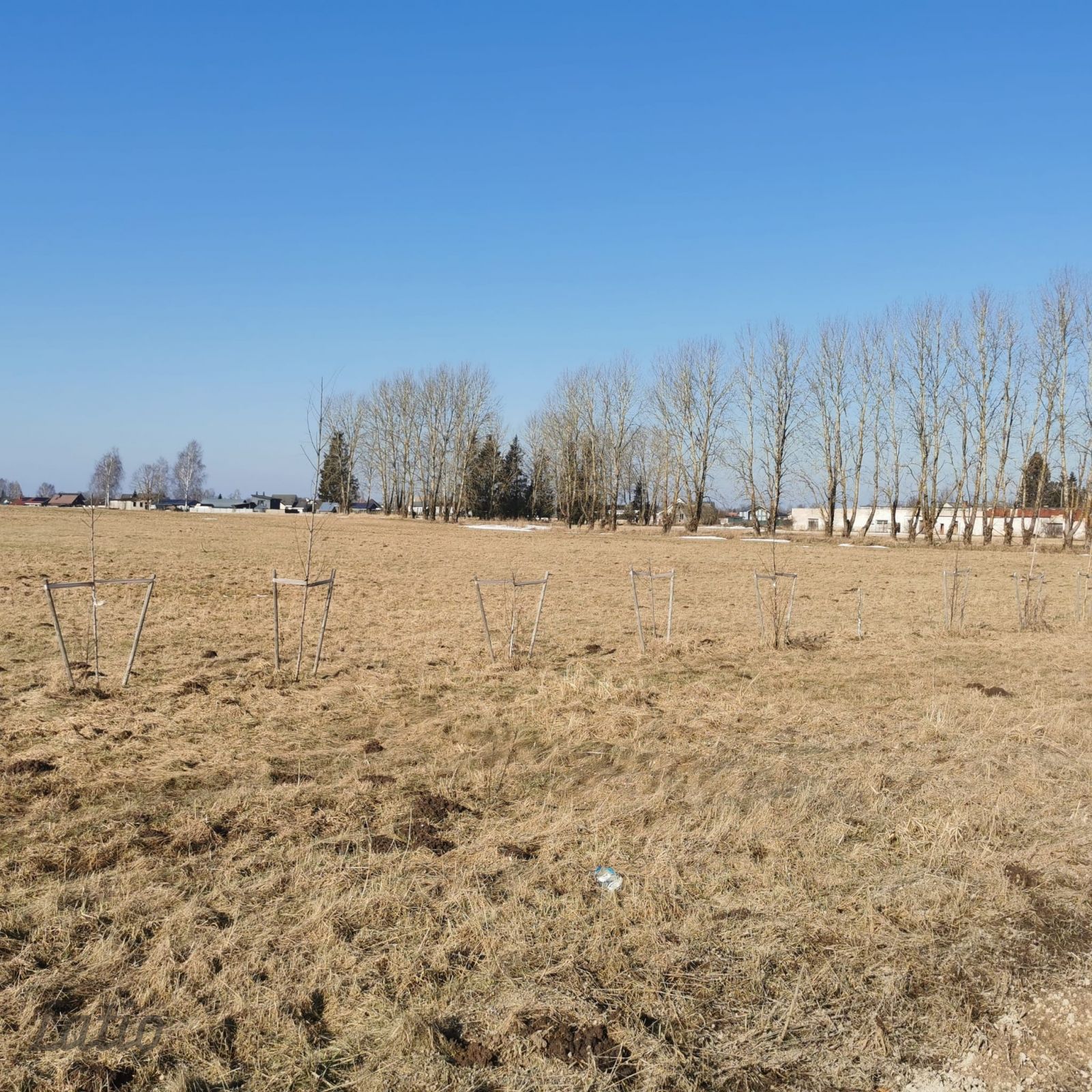 Объявление. Tiek pārdots perspektīvs zemes īpašums Siguldas pilsētas teritorijā ar platību 5,67 ha, kas Цена: 290000 EUR Foto #1