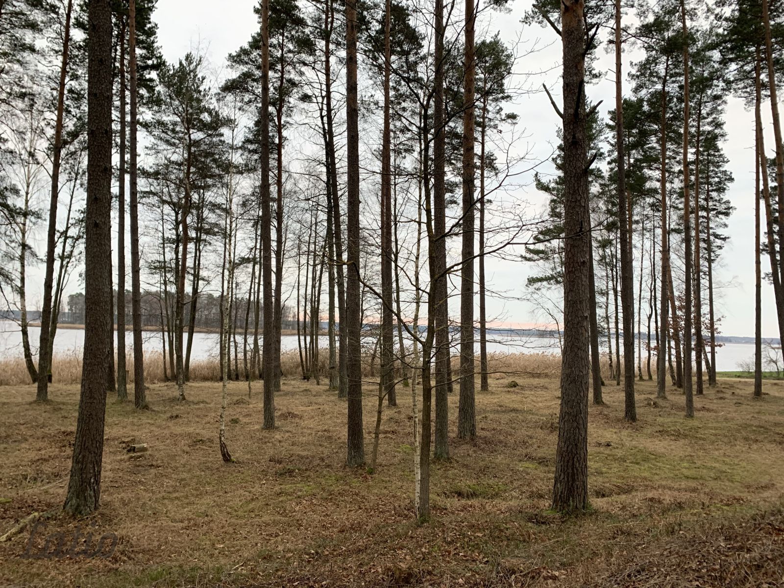 Объявление. Pārdod ekskluzīvu zemes gabalu ar izcilu lokāciju  pašā ezera krastā, ar plašu attīstības Цена: 650000 EUR Foto #3