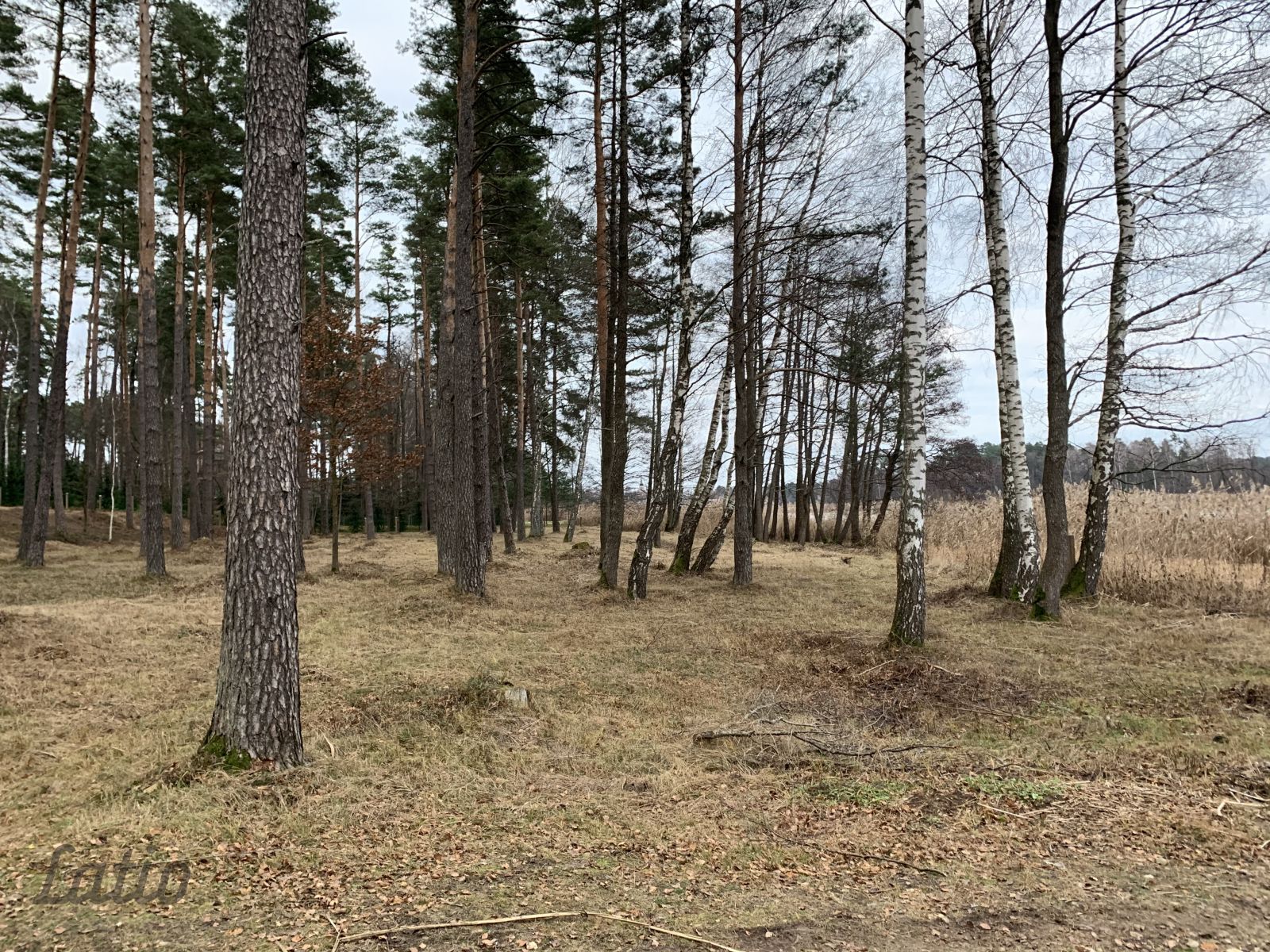 Объявление. Pārdod ekskluzīvu zemes gabalu ar izcilu lokāciju  pašā ezera krastā, ar plašu attīstības Цена: 650000 EUR Foto #4