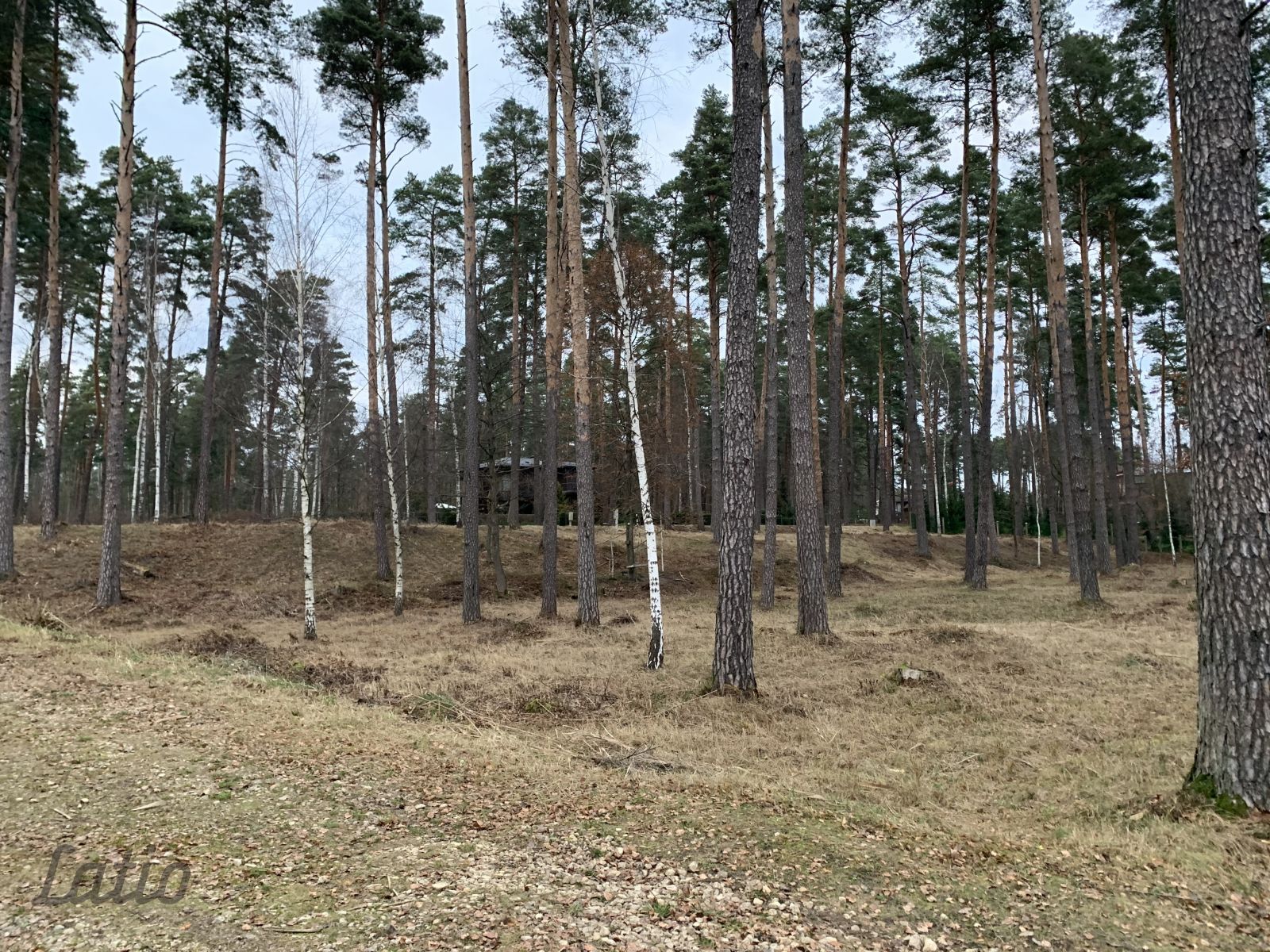 Объявление. Pārdod ekskluzīvu zemes gabalu ar izcilu lokāciju  pašā ezera krastā, ar plašu attīstības Цена: 650000 EUR Foto #2