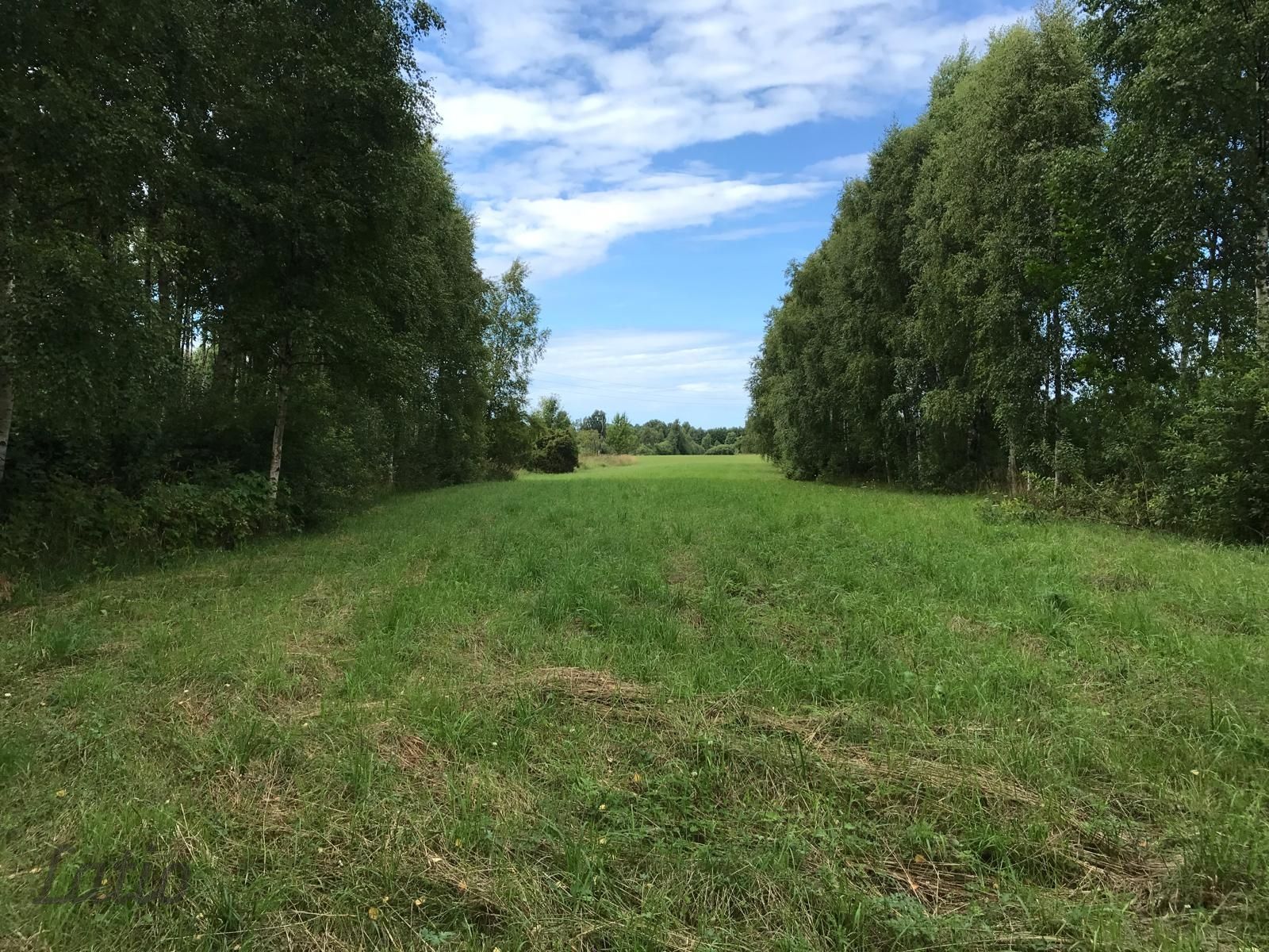 Объявление. Investīciju objekts pie jūras  43,64 ha ar elektrības pieslēgumu
Pārdod četrus blakus esošus zemes Цена: 220000 EUR Foto #5