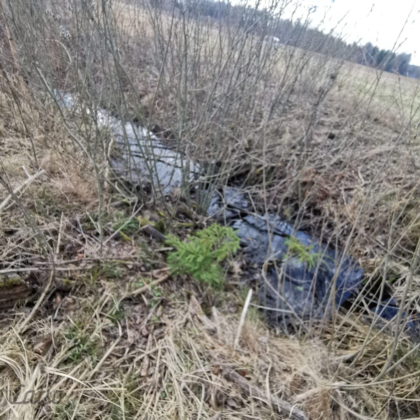 Объявление. Pārdod zemesgabalu privātmājas būvniecībai. Īpašumam ir pieejams elektrības pieslēgums. Kadastrāli Цена: 21000 EUR Foto #4