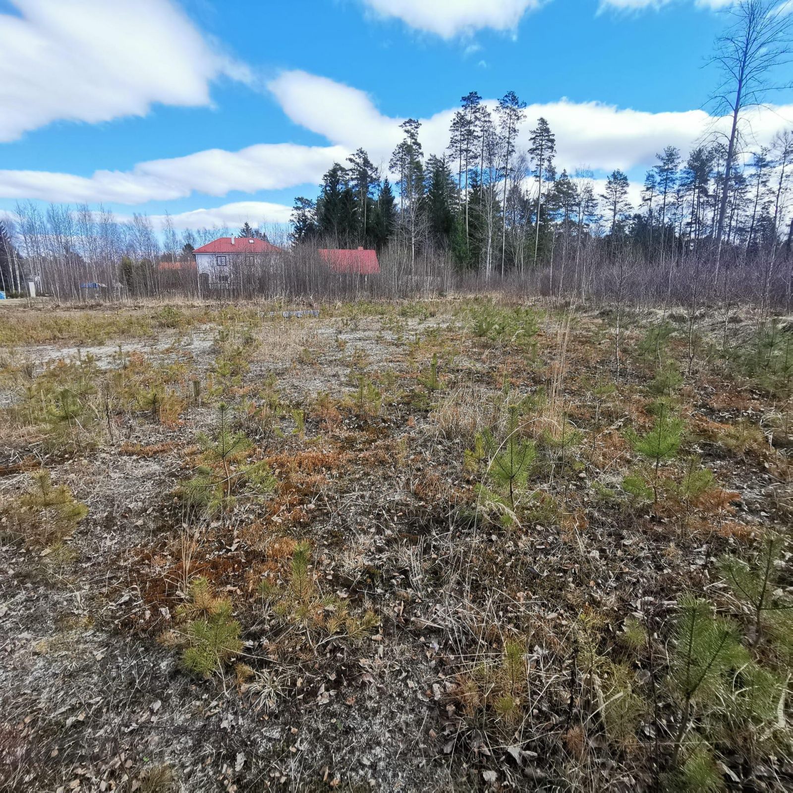 Объявление. Pārdod zemesgabalu privātmājas būvniecībai. Īpašumam ir pieejams elektrības pieslēgums. Kadastrāli Цена: 21000 EUR Foto #2