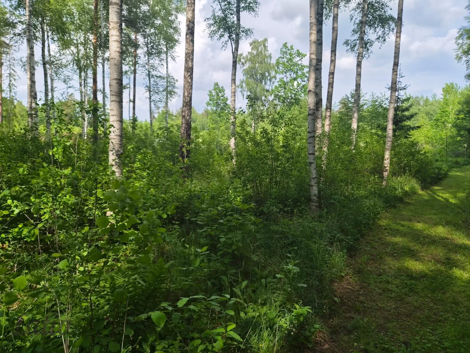 Sludinājumi. Pārdod skaistu, ainavisku zemes vienību Talsu novadā, Ārlavas pagastā ar skanīgu nosaukumu Cena: 45000 EUR Foto #5
