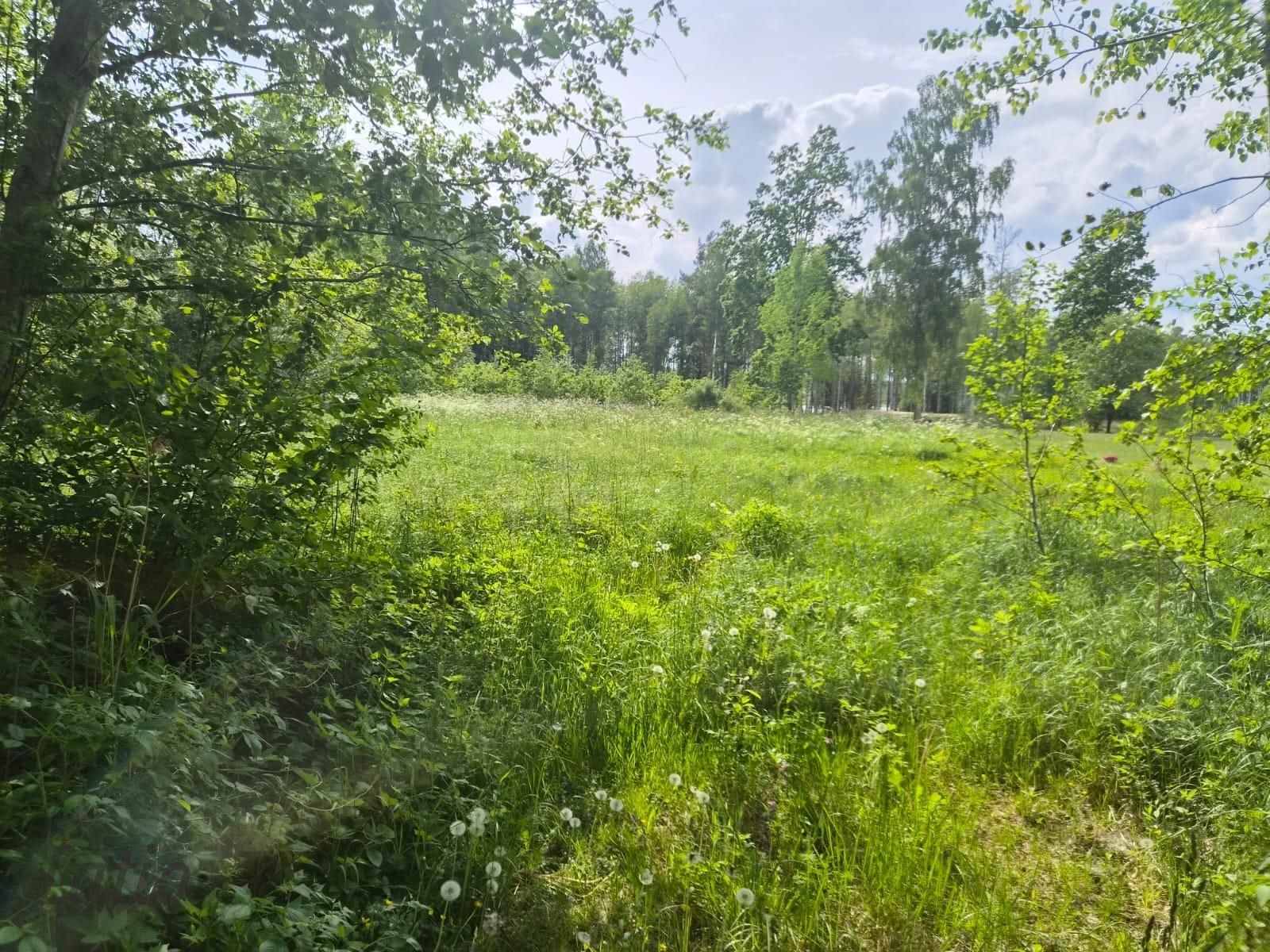 Sludinājumi. Pārdod skaistu, ainavisku zemes vienību Talsu novadā, Ārlavas pagastā ar skanīgu nosaukumu Cena: 45000 EUR Foto #4