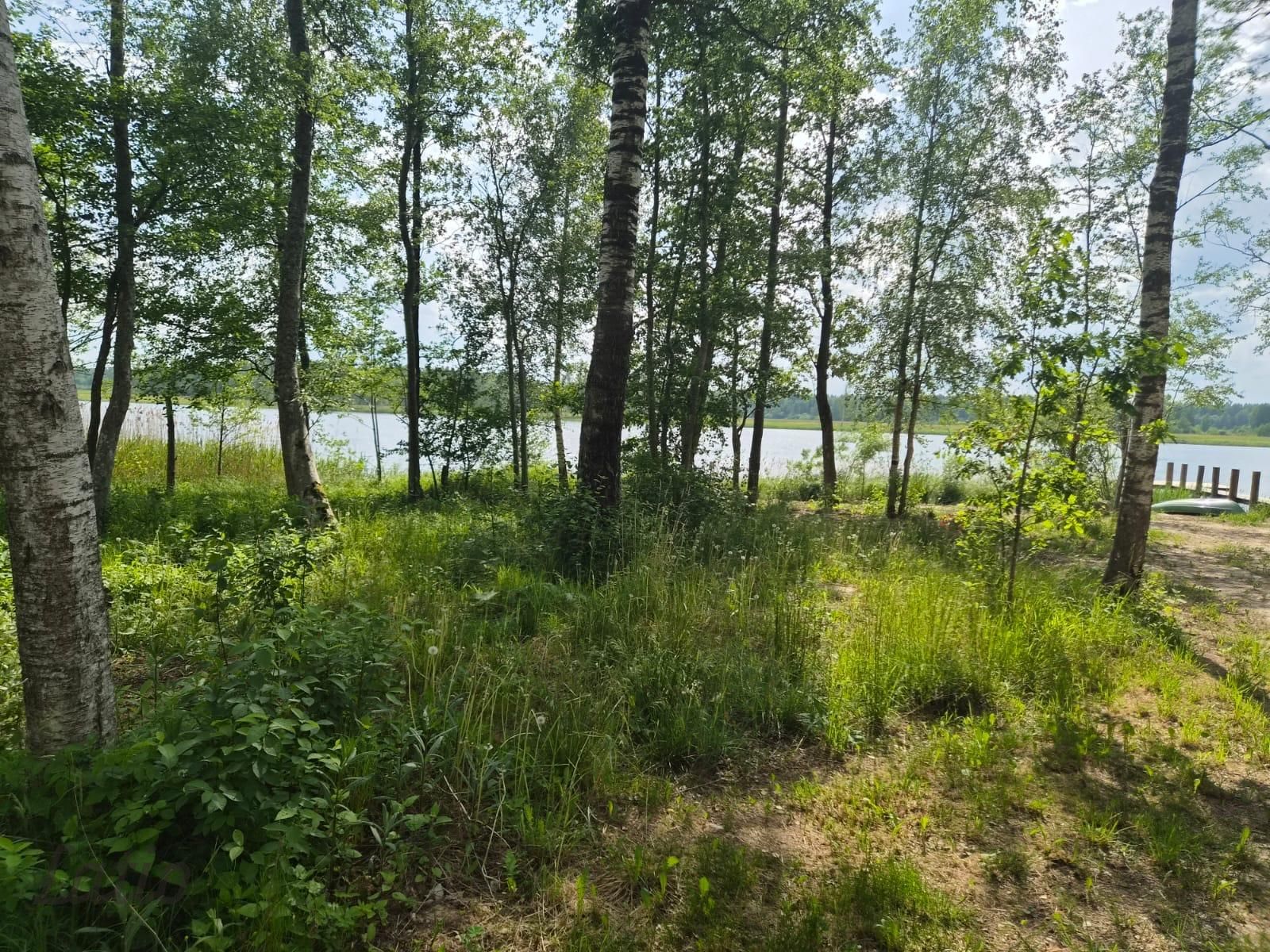 Sludinājumi. Pārdod skaistu, ainavisku zemes vienību Talsu novadā, Ārlavas pagastā ar skanīgu nosaukumu Cena: 45000 EUR Foto #1