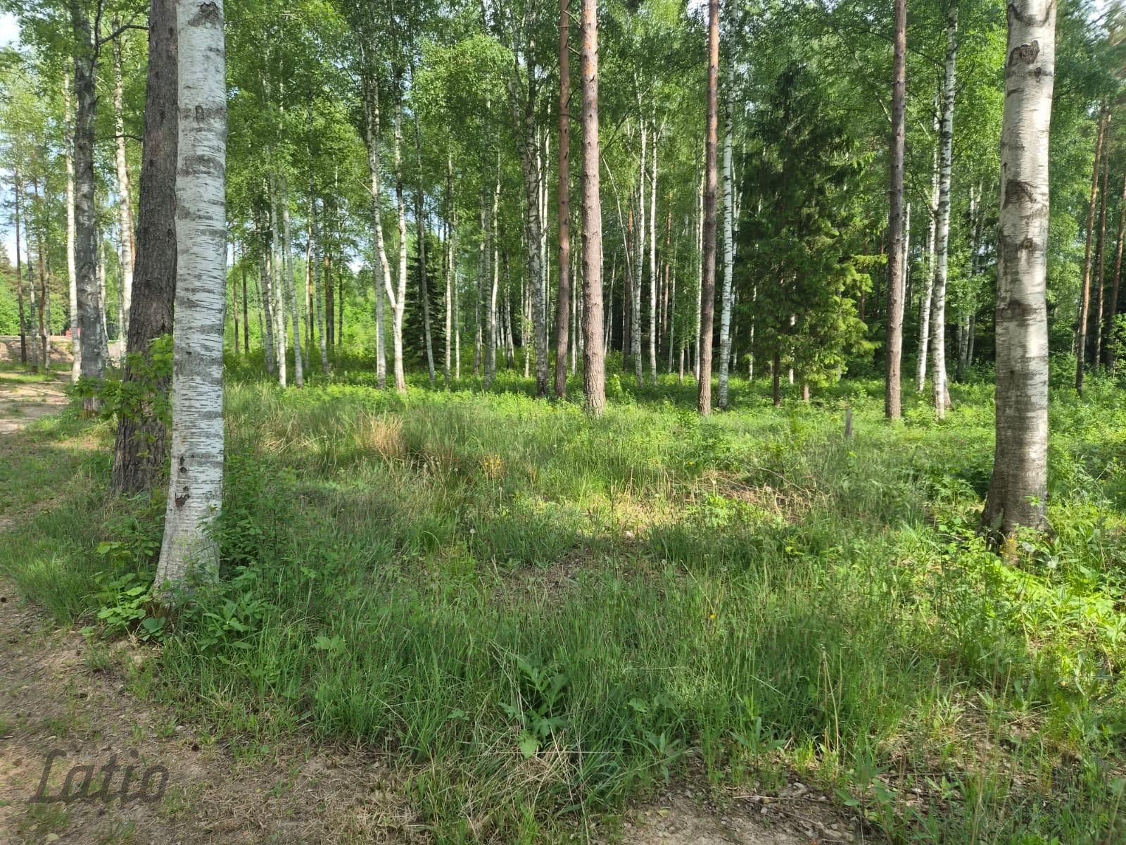 Sludinājumi. Pārdod skaistu, ainavisku zemes vienību Talsu novadā, Ārlavas pagastā ar skanīgu nosaukumu Cena: 45000 EUR Foto #3